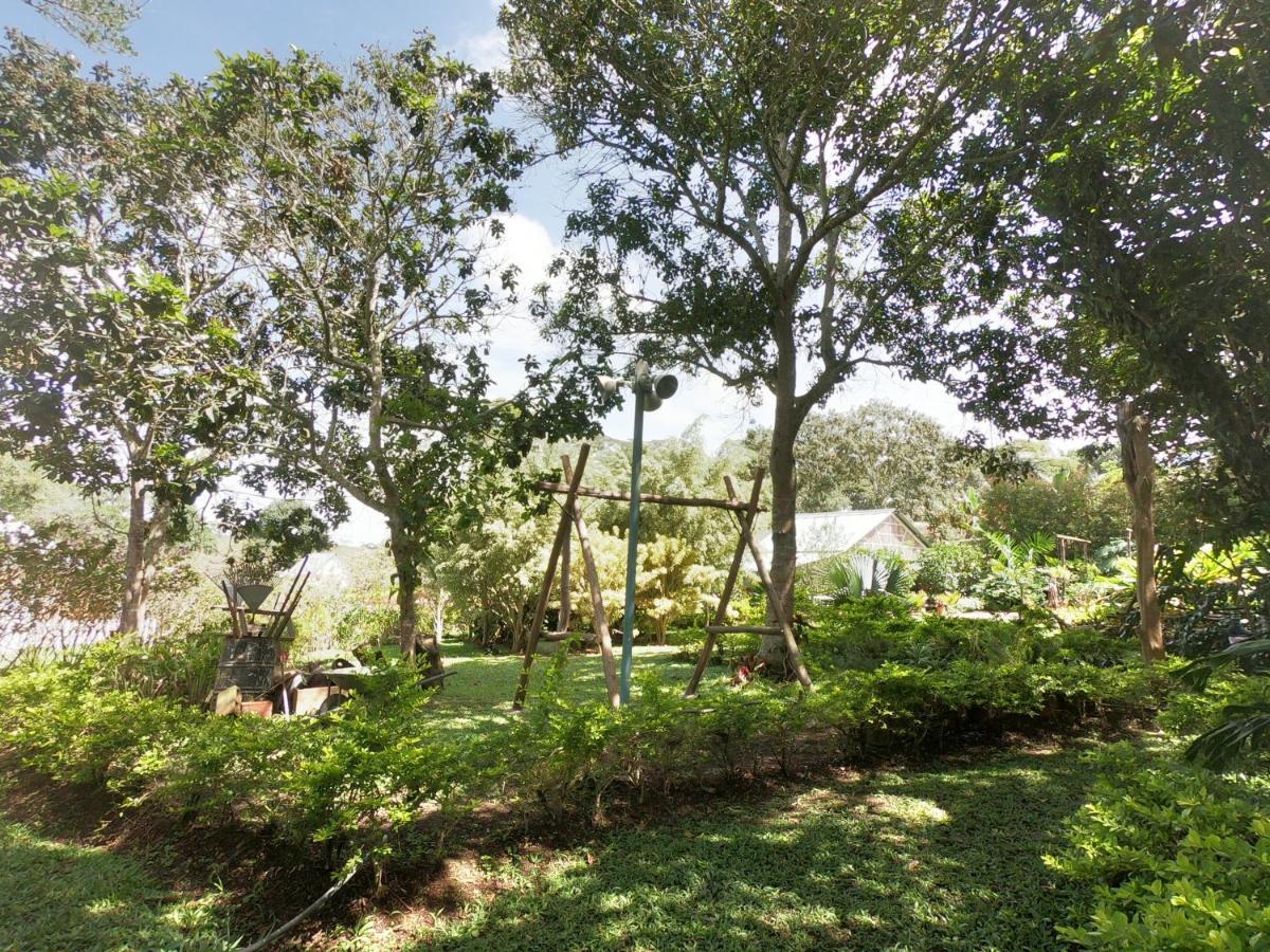 Tribu Ecohostal Los Santos  Exteriér fotografie