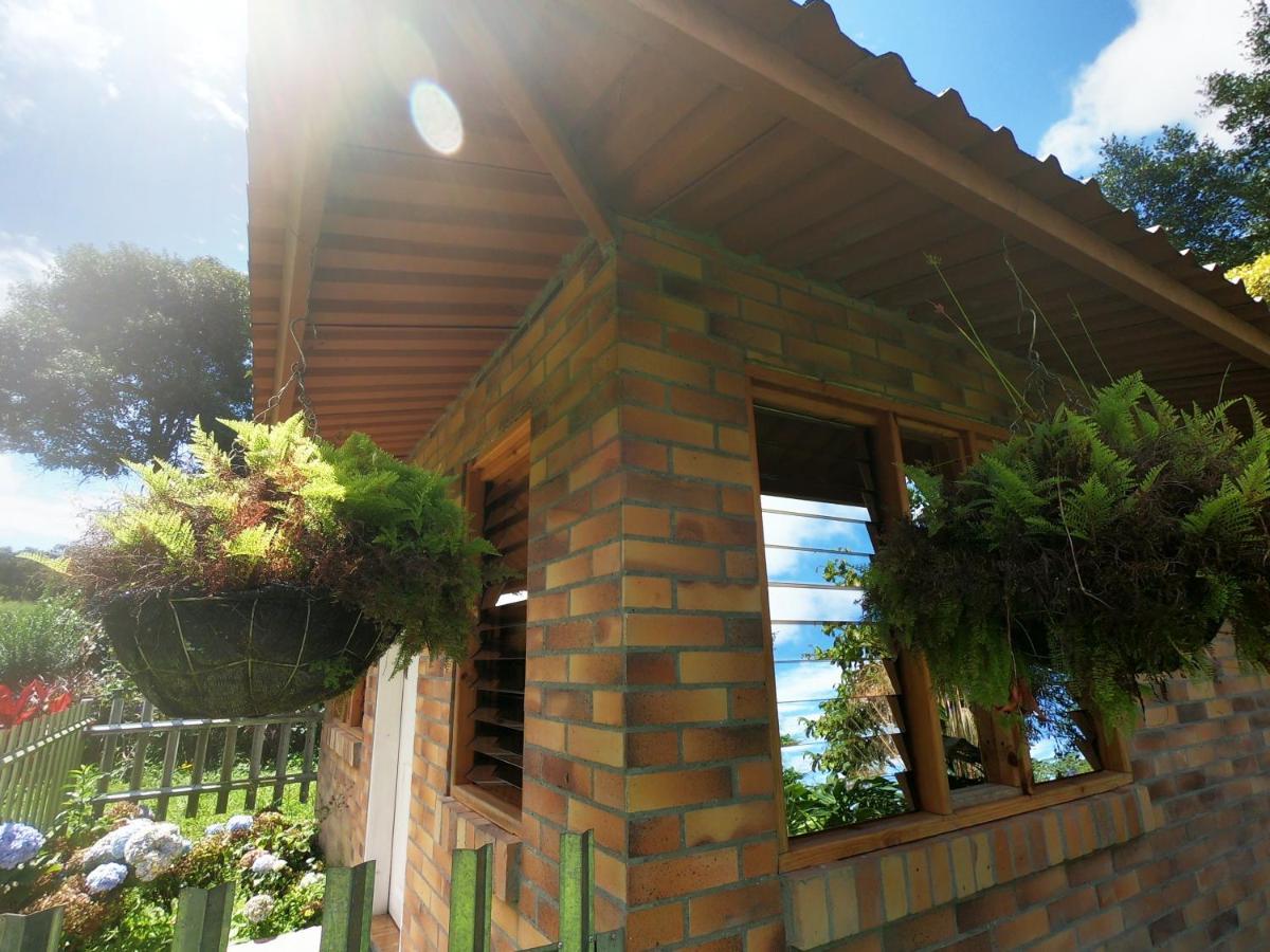 Tribu Ecohostal Los Santos  Exteriér fotografie