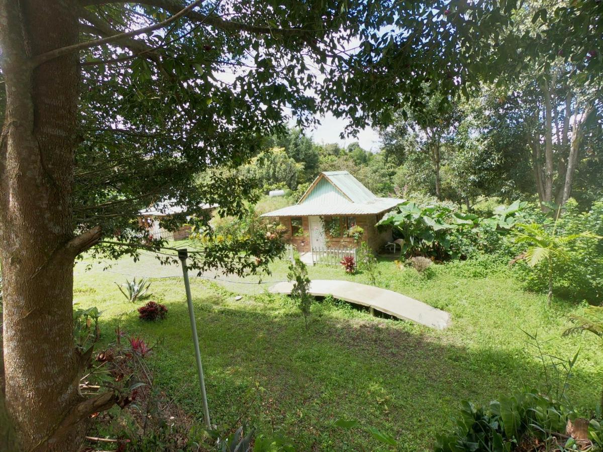 Tribu Ecohostal Los Santos  Exteriér fotografie