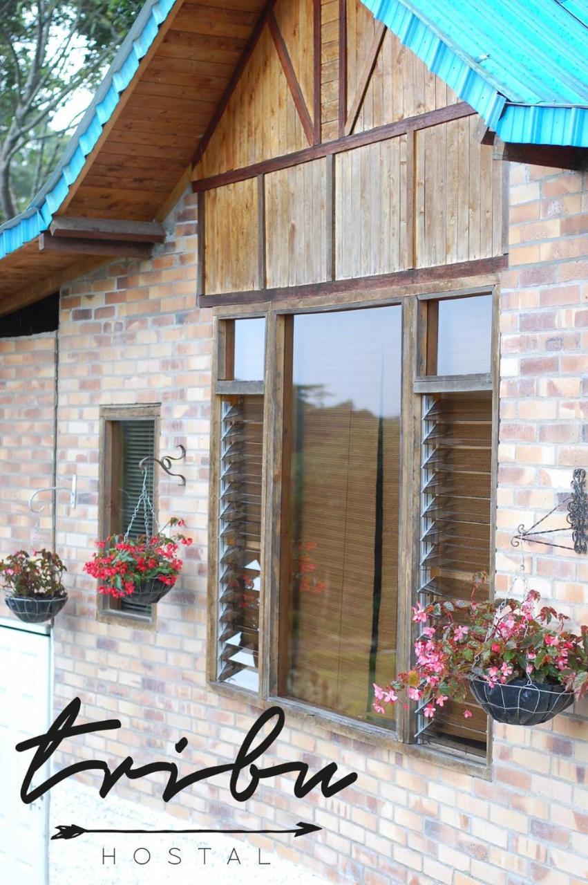 Tribu Ecohostal Los Santos  Exteriér fotografie