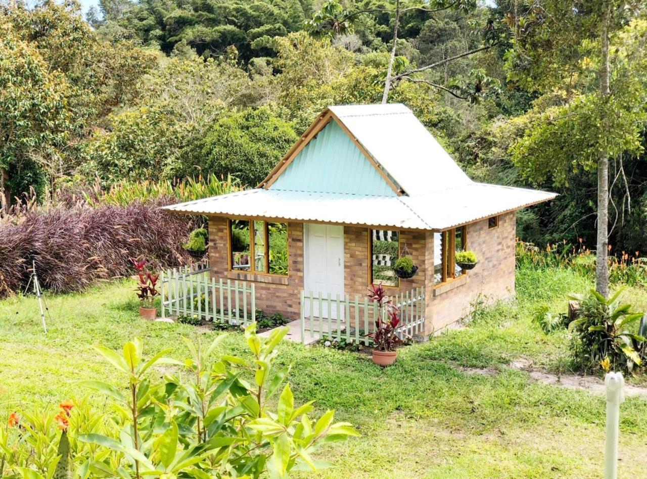Tribu Ecohostal Los Santos  Exteriér fotografie